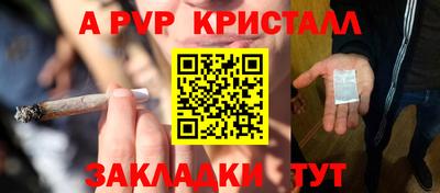 индика Пугачёв