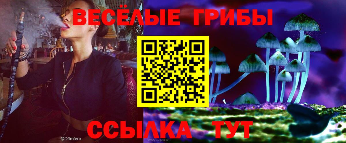 Псилоцибиновые грибы Psilocybe Приморско-Ахтарск